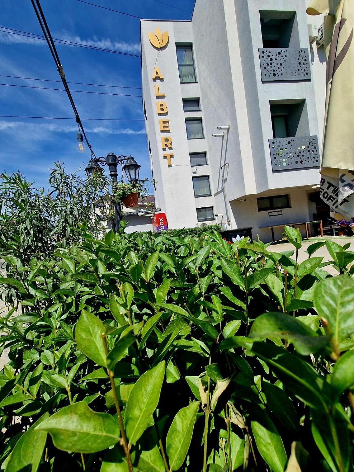 Roşu Albert Hotel المظهر الخارجي الصورة